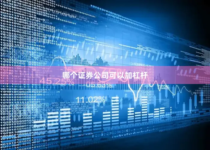 哪个证券公司可以加杠杆